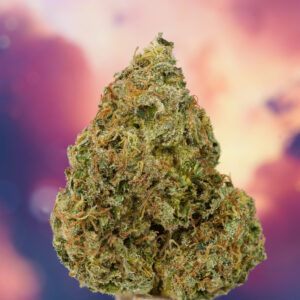 Ice Cream Haze ® 3er Dutch Passion