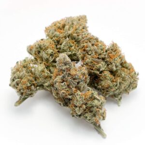 Auto Banana Blaze von Dutch Passion