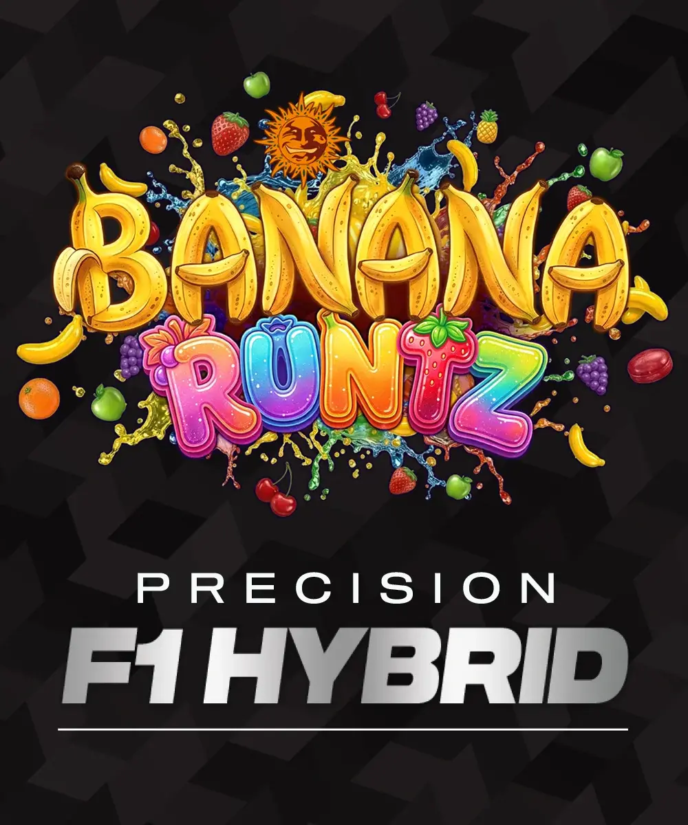 Banana Runtz 3er – Barney’s Farm (feminisierte Samen)