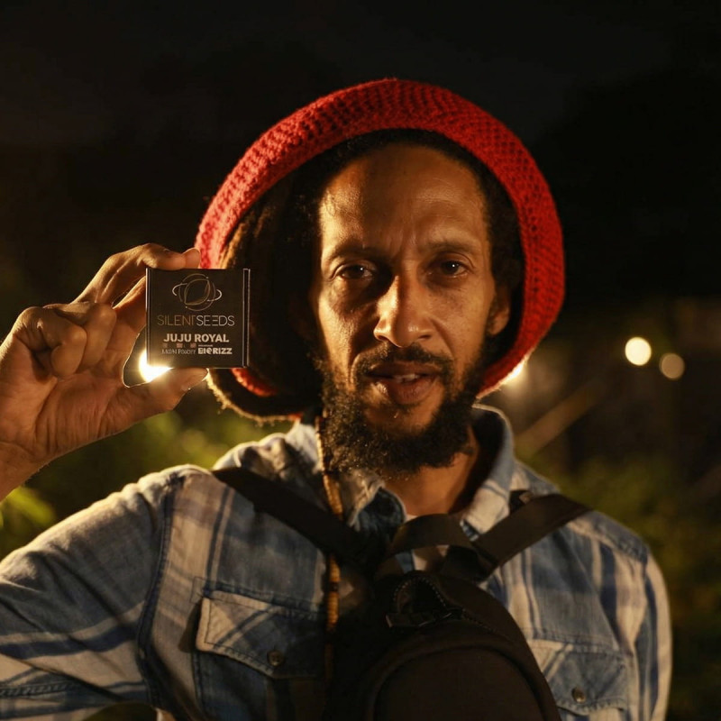 Julian Marley Special 3er – Silent Seeds x Julian Marley (feminisierte Samen)