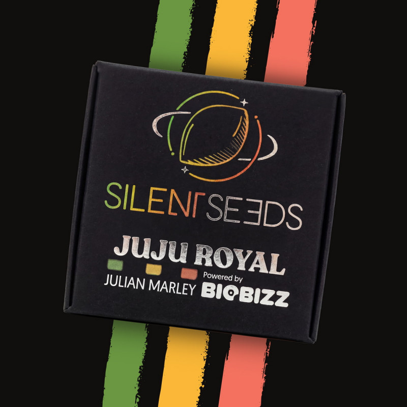 Julian Marley Special 3er – Silent Seeds x Julian Marley (feminisierte Samen) – Bild 2