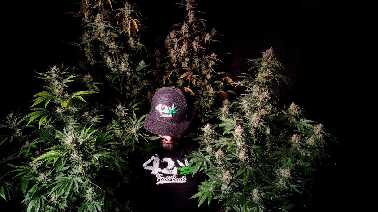 Mix Pack Auto von Fast Buds