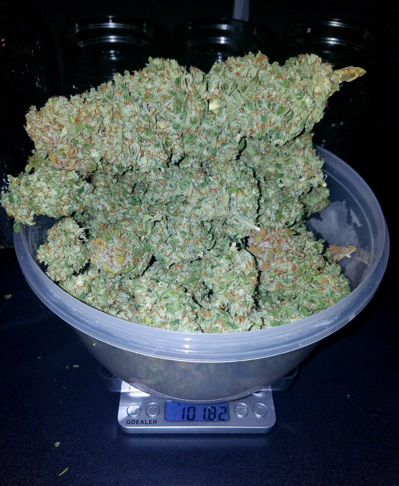 Stardawg Auto von Fast Buds