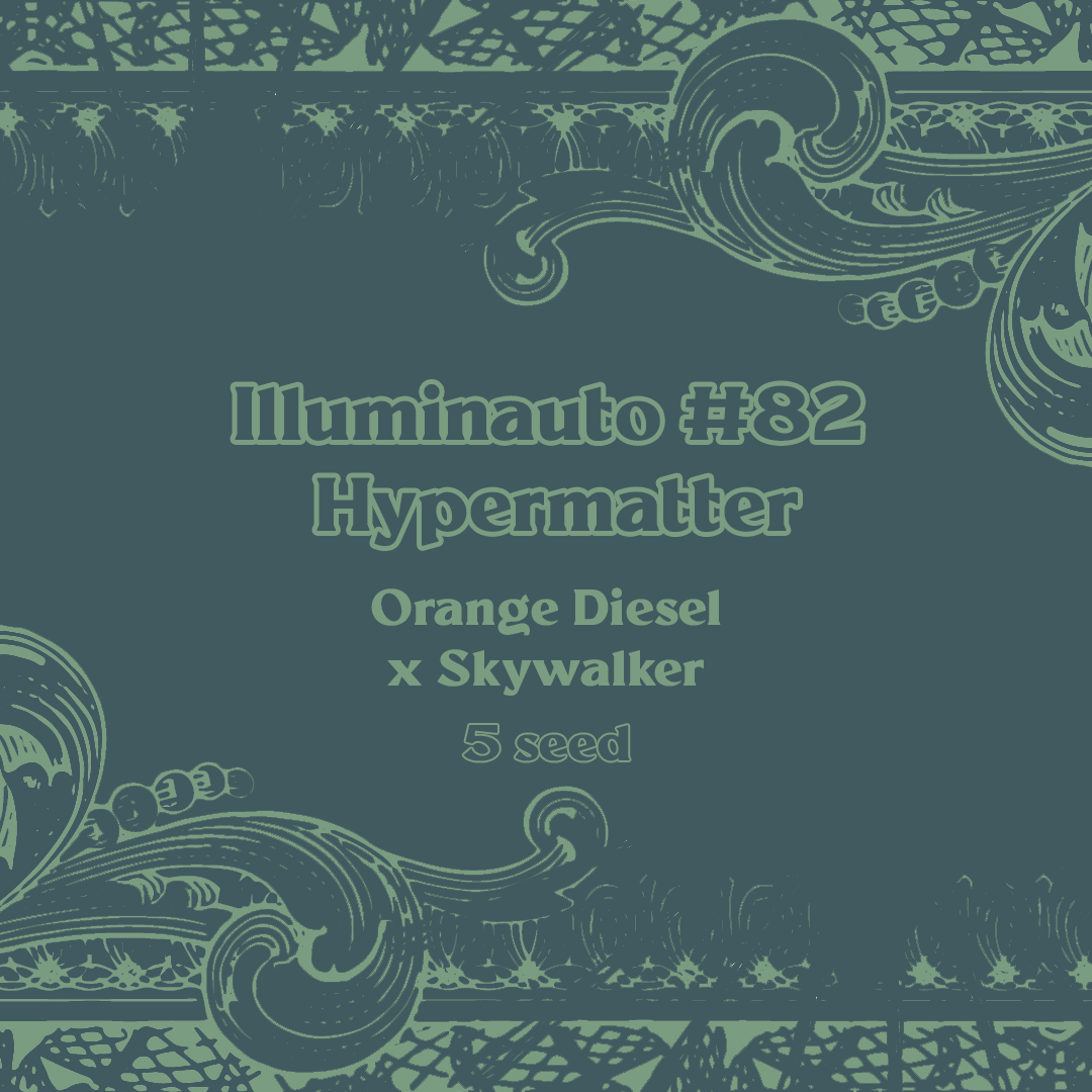 ill#82 - hypermatter 5er – mephisto genetics (autoflower samen)