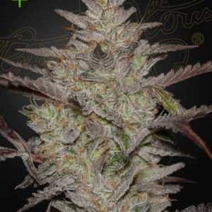 AlienZ Auto von Green House Seed Co.