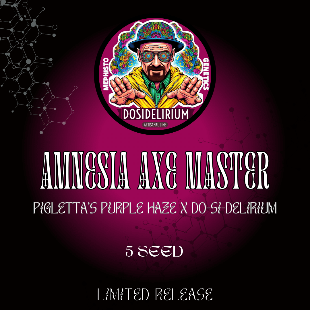 amnesia axe master 5er – mephisto genetics (autoflower samen)