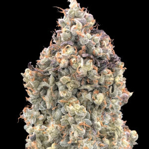 Auto Watermelon OG von Advanced Seeds