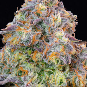 Blue Zlime von Grounded Genetics