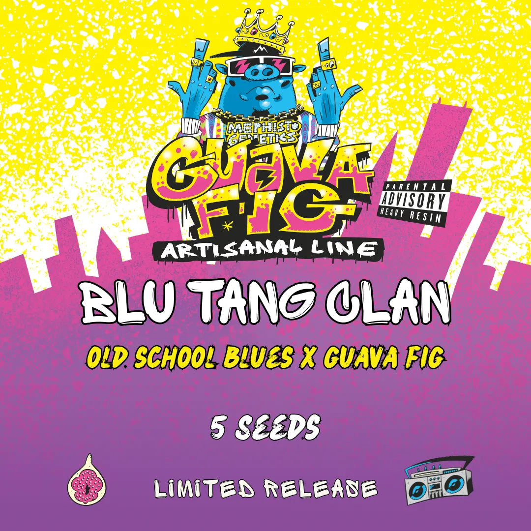 blu tang clan 5+1er – mephisto genetics (autoflower samen)