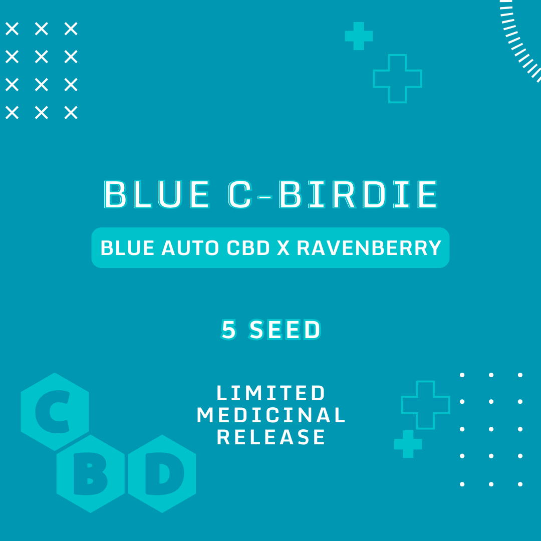 blue c-birdie 5er – mephisto genetics (autoflower samen)