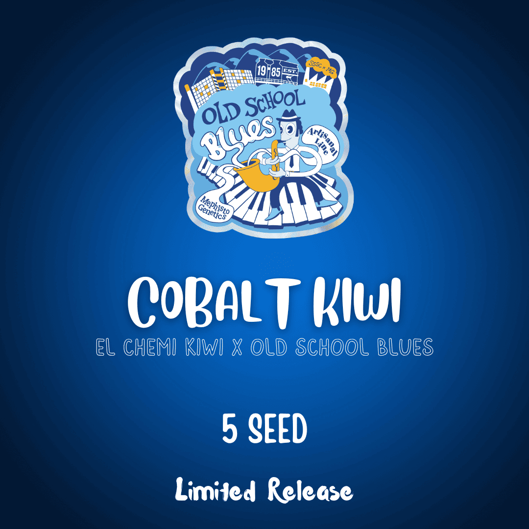 cobalt kiwi 5er – mephisto genetics (autoflower samen)