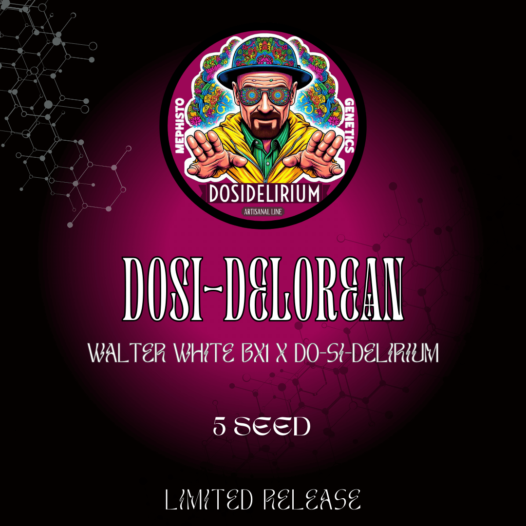 dosi-delorean 5er – mephisto genetics (autoflower samen)