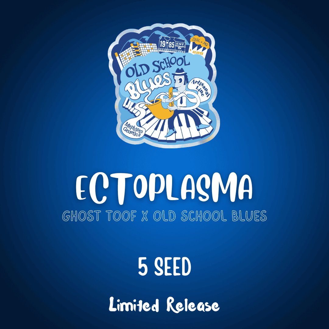 ectoplasma 5er – mephisto genetics (autoflower samen)