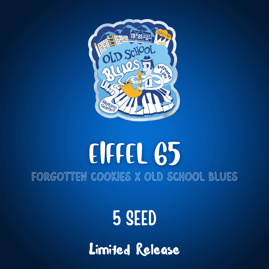 eiffel 65 5er – mephisto genetics (autoflower samen)