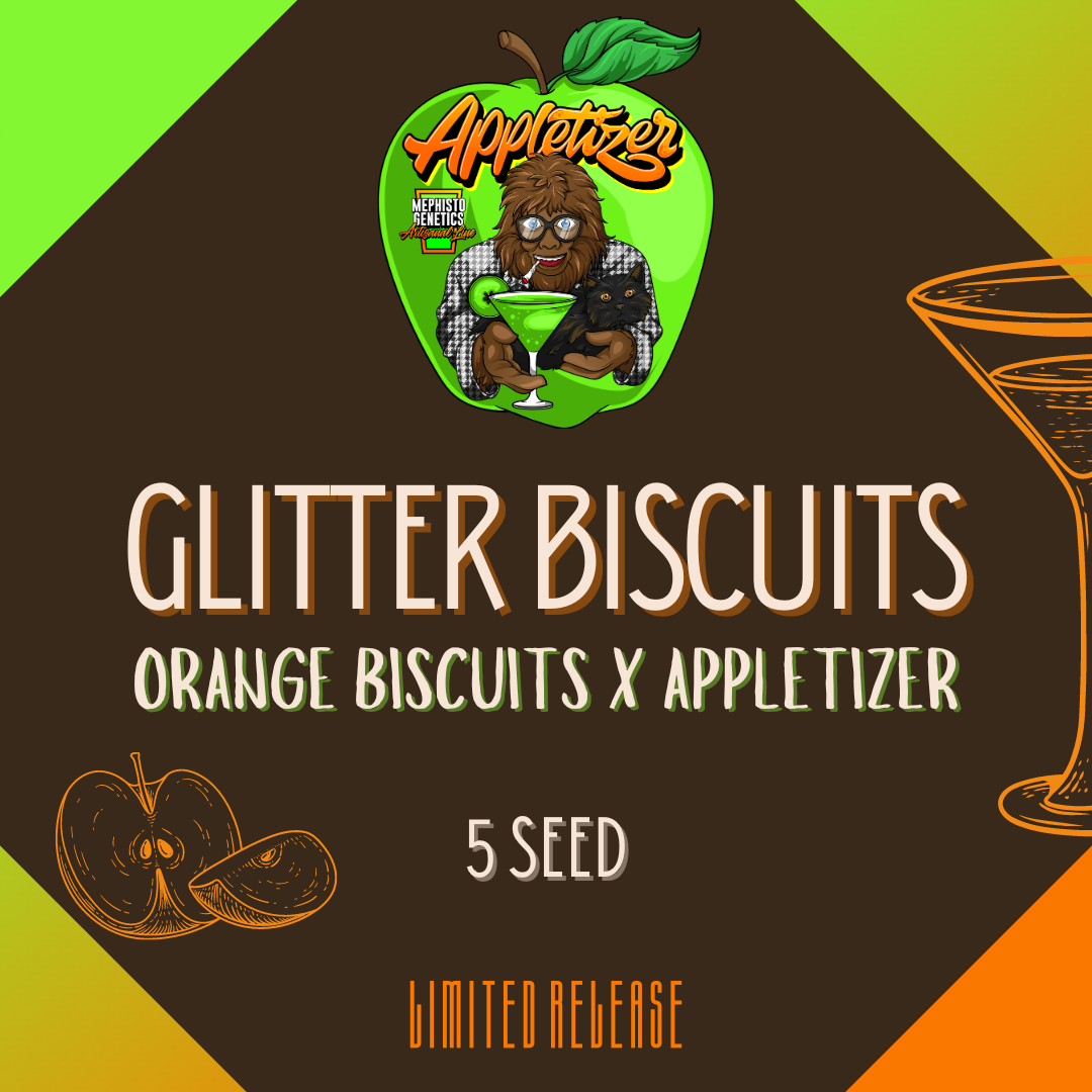 glitter biscuits 5er – mephisto genetics (autoflower samen)