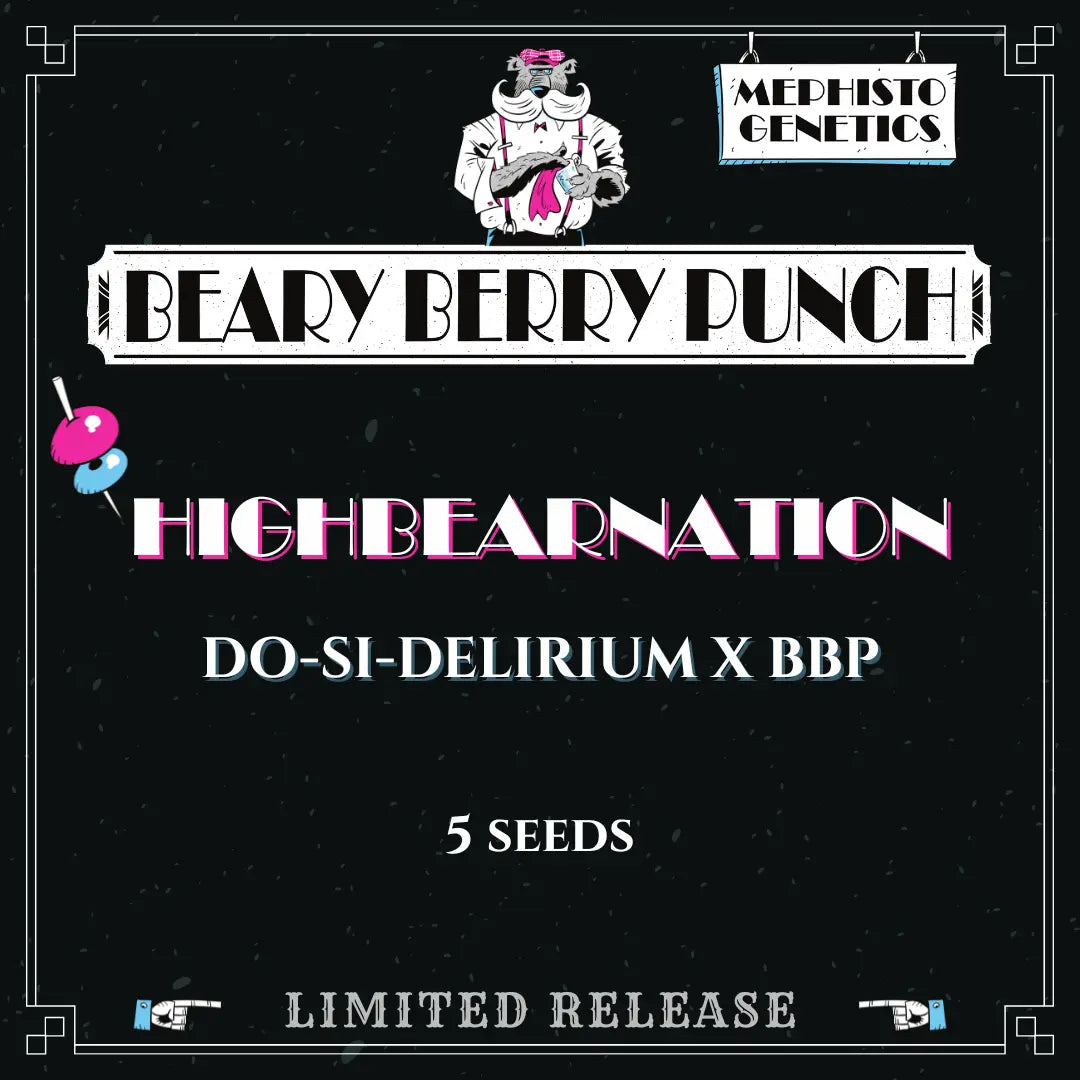 highbearnation 5+1er – mephisto genetics (autoflower samen)