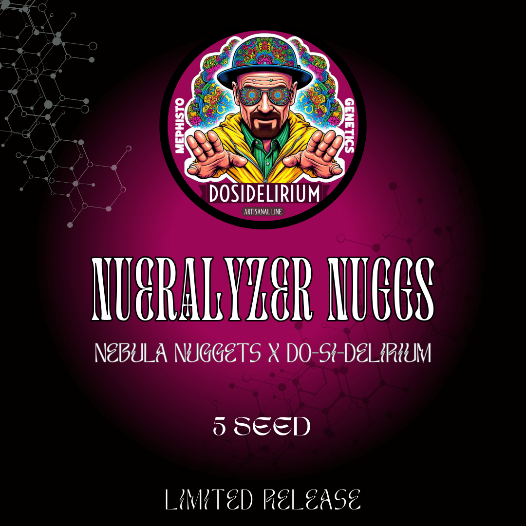 nueralyzer nuggs 5+1er – mephisto genetics (autoflower samen)