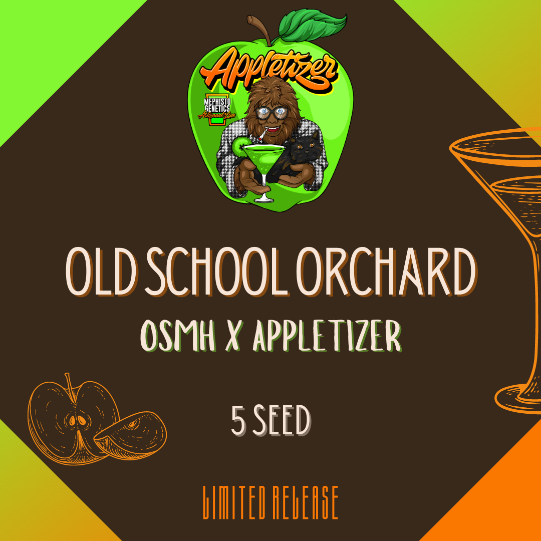 old school orchard 5er – mephisto genetics (autoflower samen)