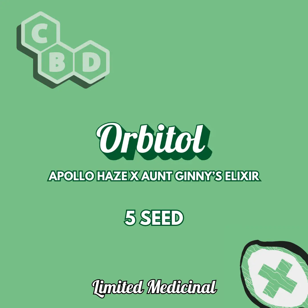 orbitol 5+1er – mephisto genetics (autoflower samen)