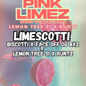 Limescotti von Grounded Genetics