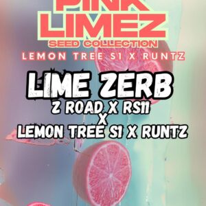 Lime Zerb von Grounded Genetics