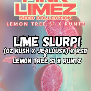 Lime Slurpi von Grounded Genetics