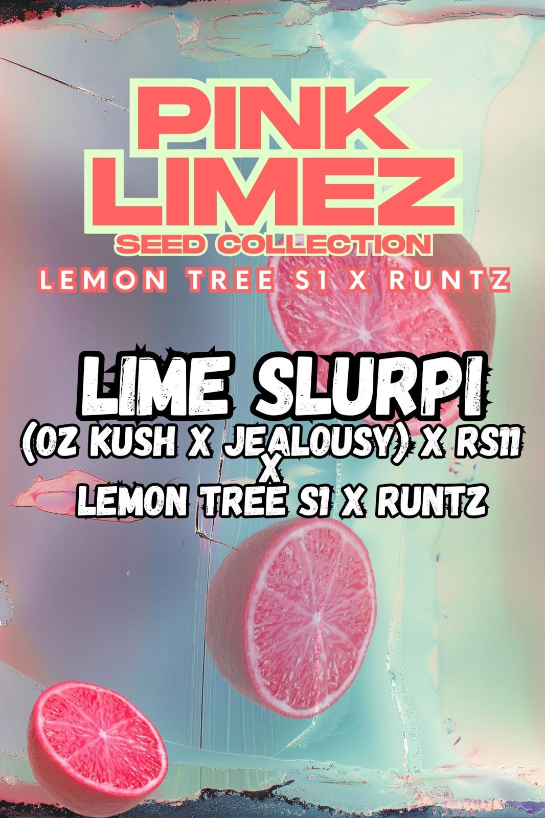 Lime Slurpi von Grounded Genetics