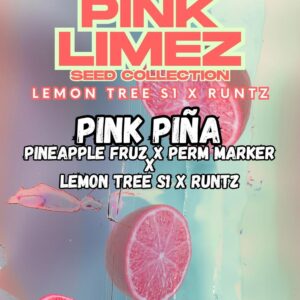 Pink Piña von Grounded Genetics