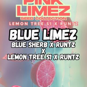 Blue Limez von Grounded Genetics