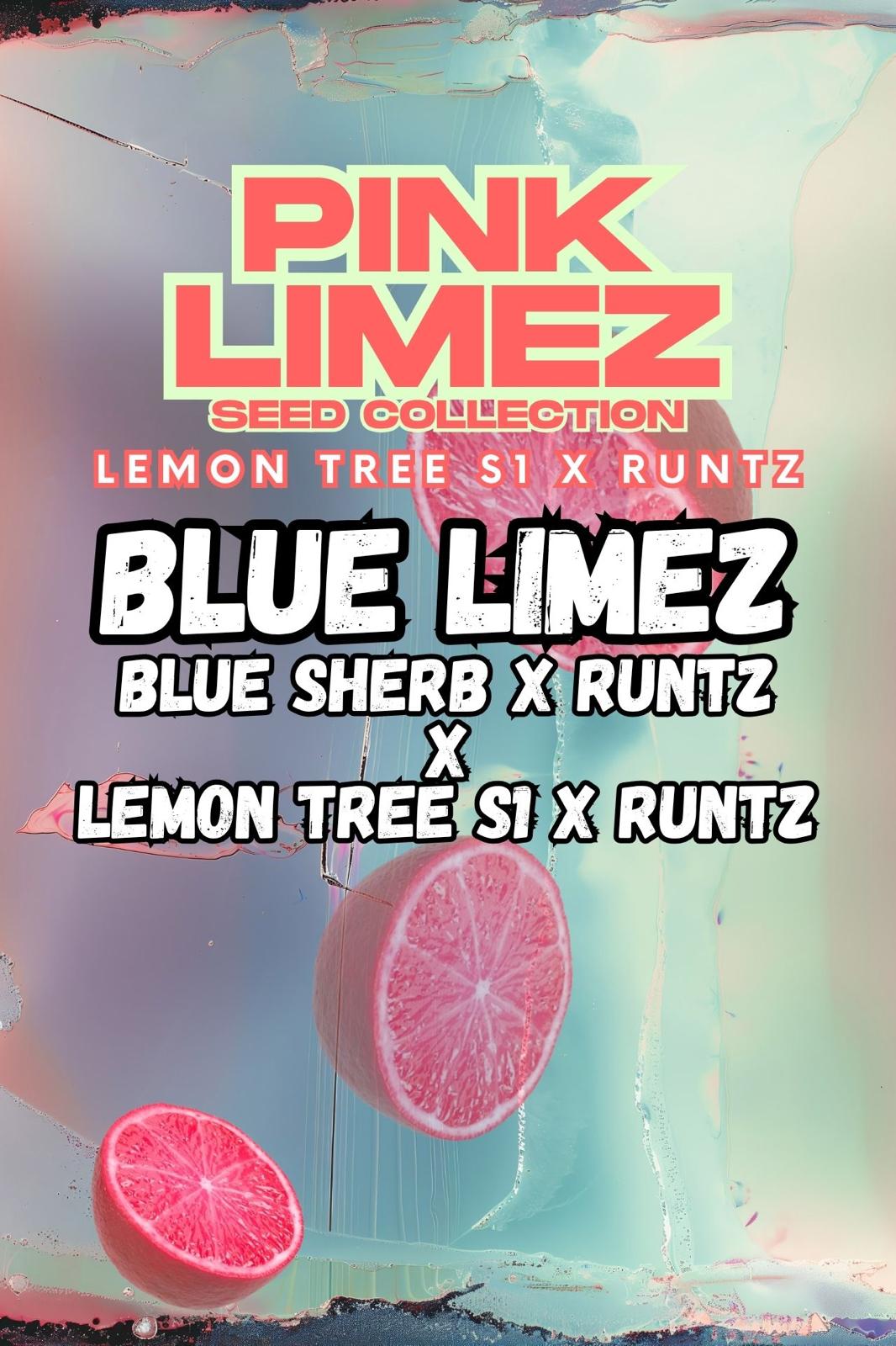 Blue Limez von Grounded Genetics