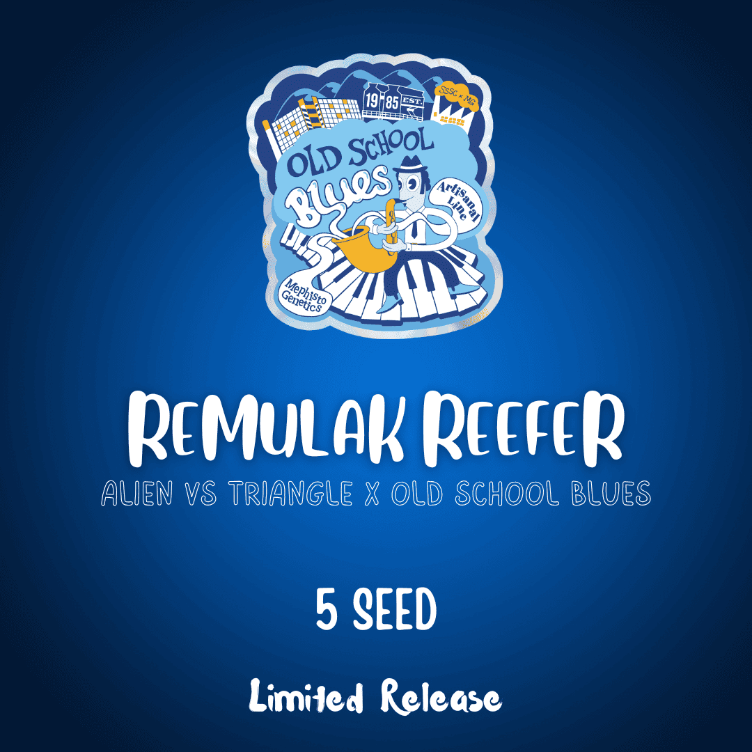remulak reefer 5er – mephisto genetics (autoflower samen)