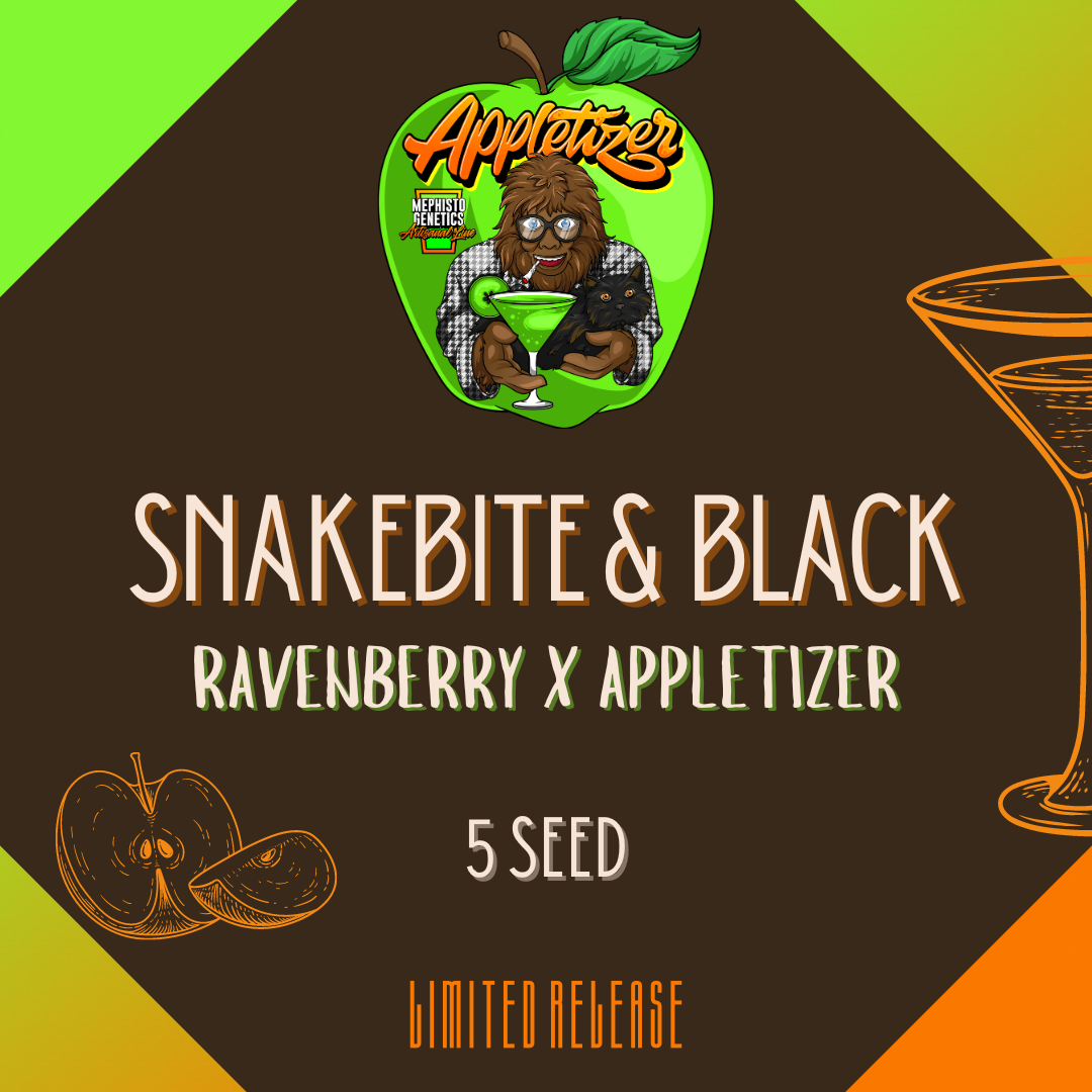snakebite & black 5er – mephisto genetics (autoflower samen)