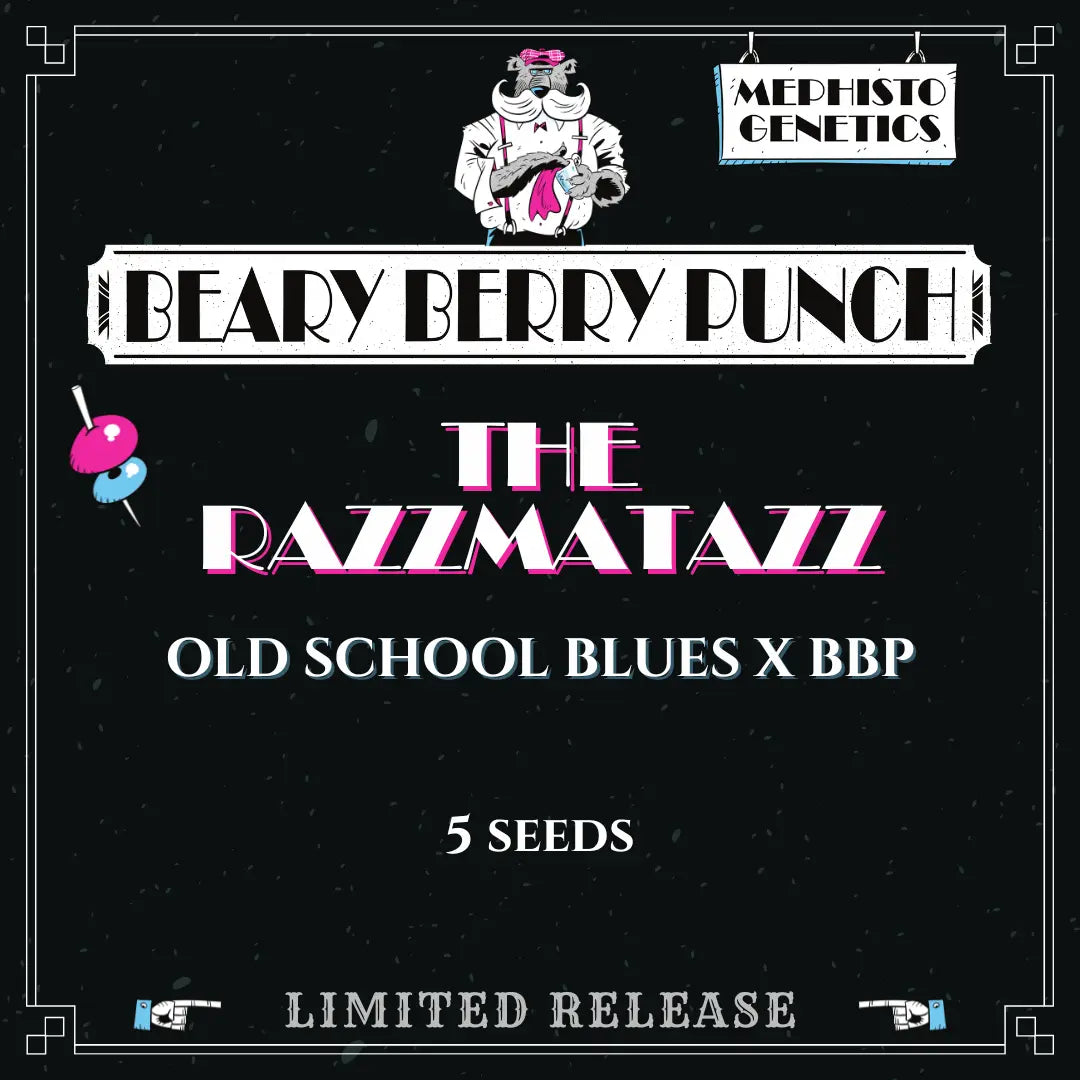the razzmatazz 5+1er – mephisto genetics (autoflower samen)