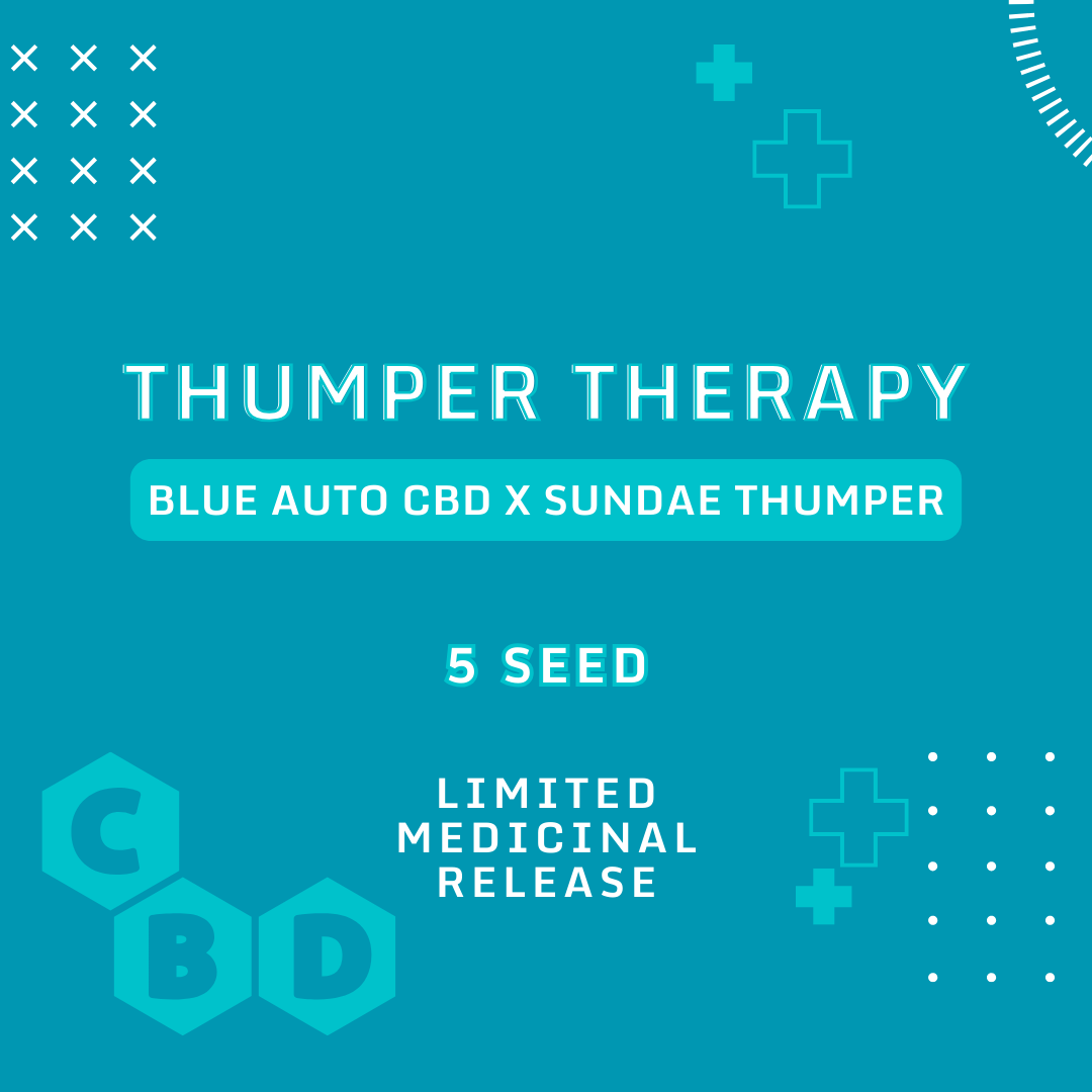thumper therapy 5er – mephisto genetics (autoflower samen)
