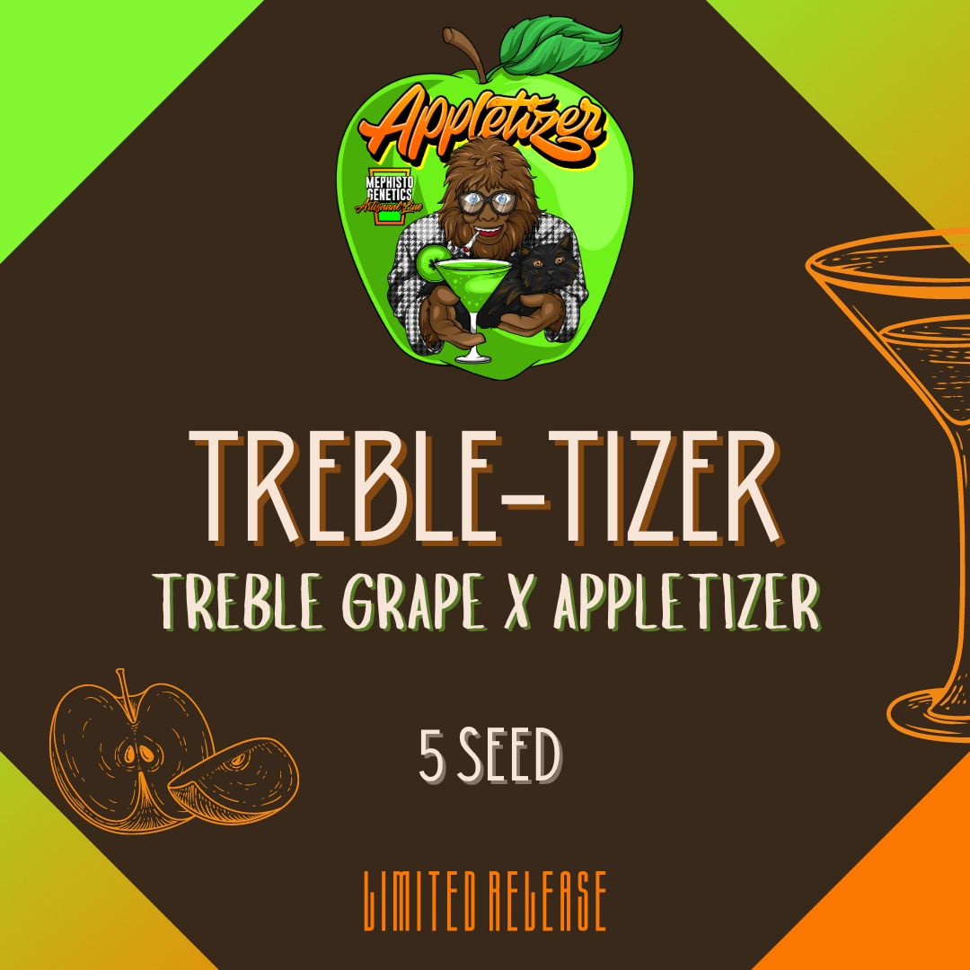treble-tizer 5er – mephisto genetics (autoflower samen)
