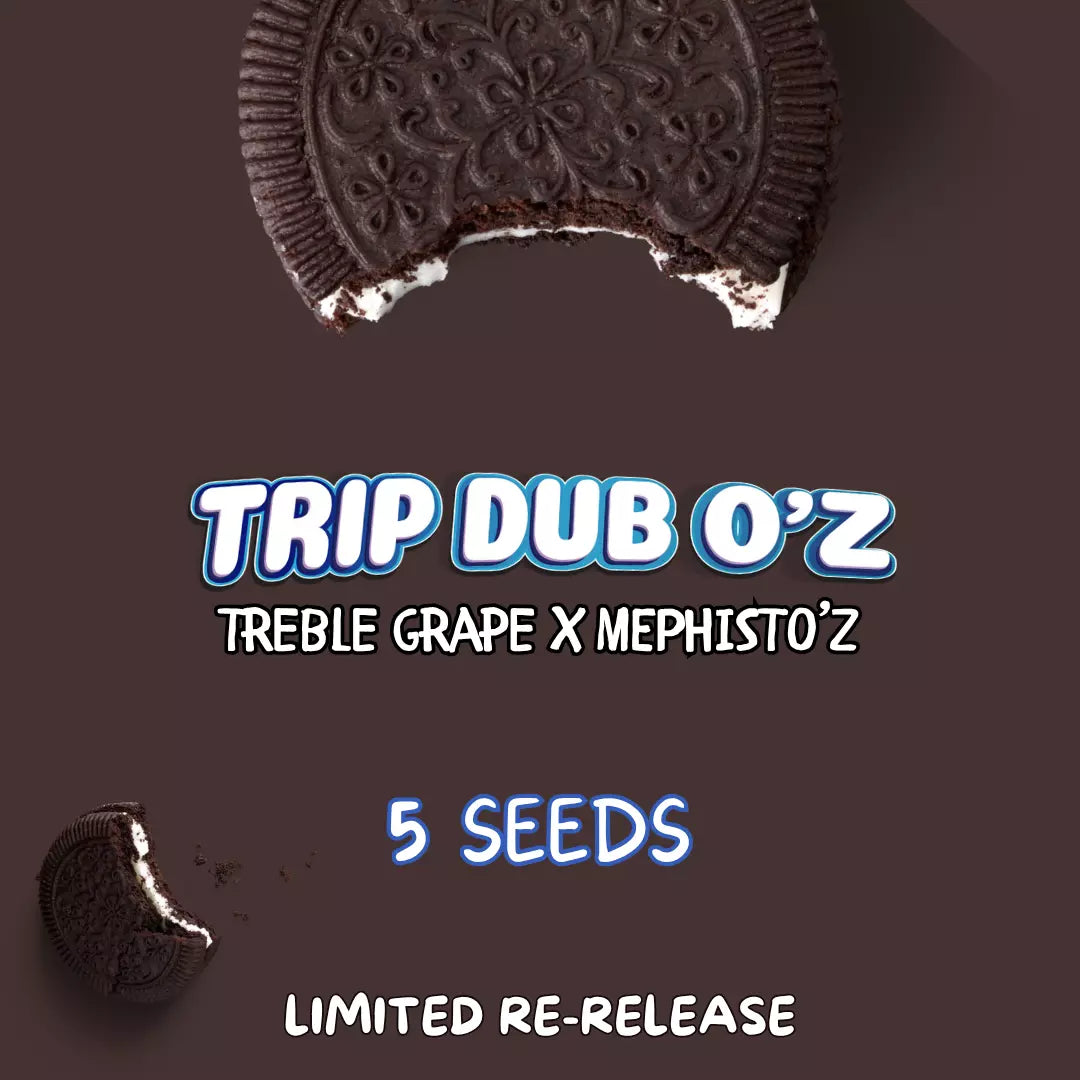 trip dub o'z 5+1er – mephisto genetics (autoflower samen)