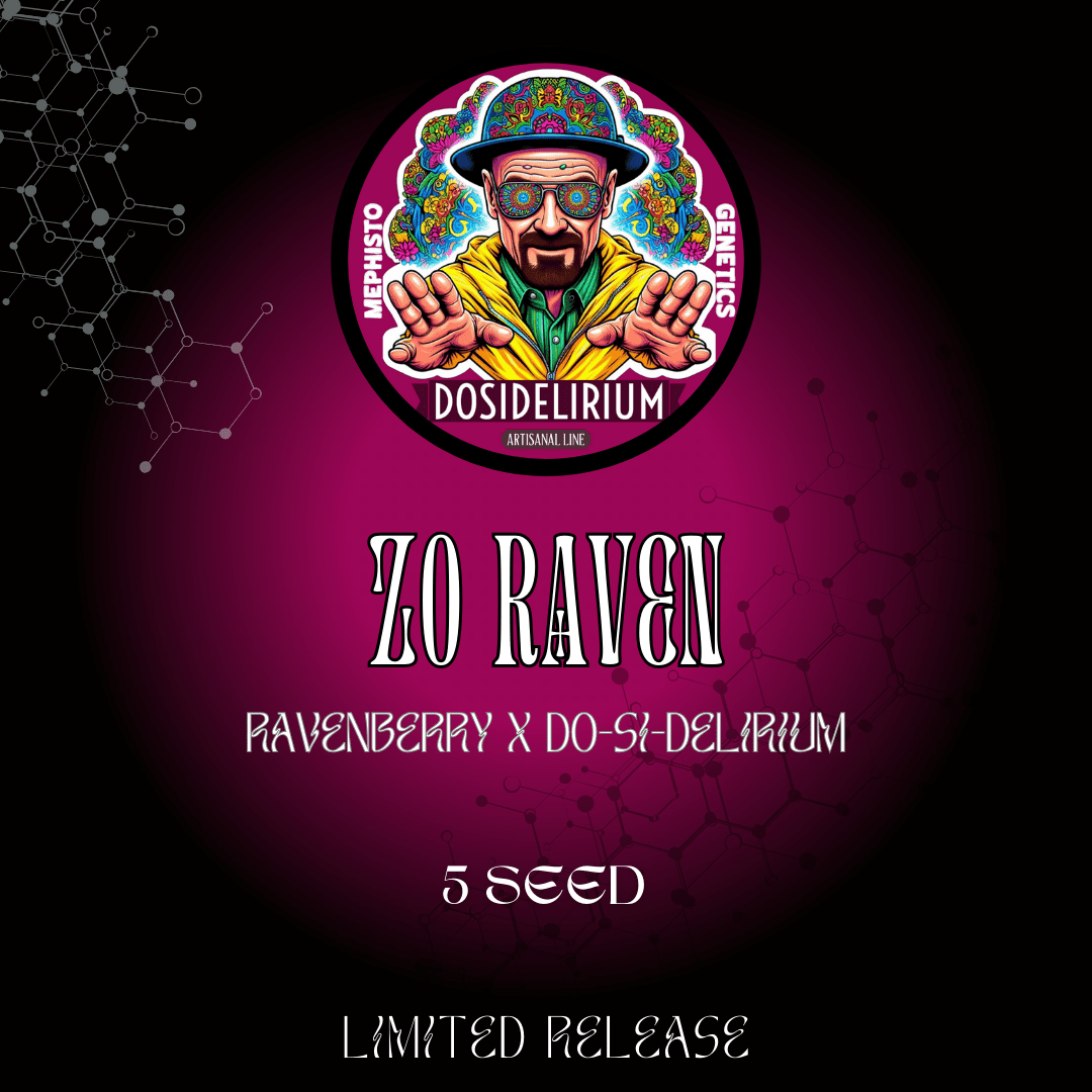 zo raven 5er &ndash; mephisto genetics (autoflower samen)