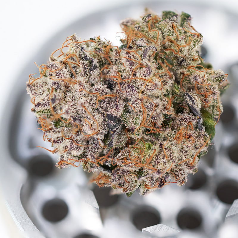 Auto Mimosa Punch von Dutch Passion
