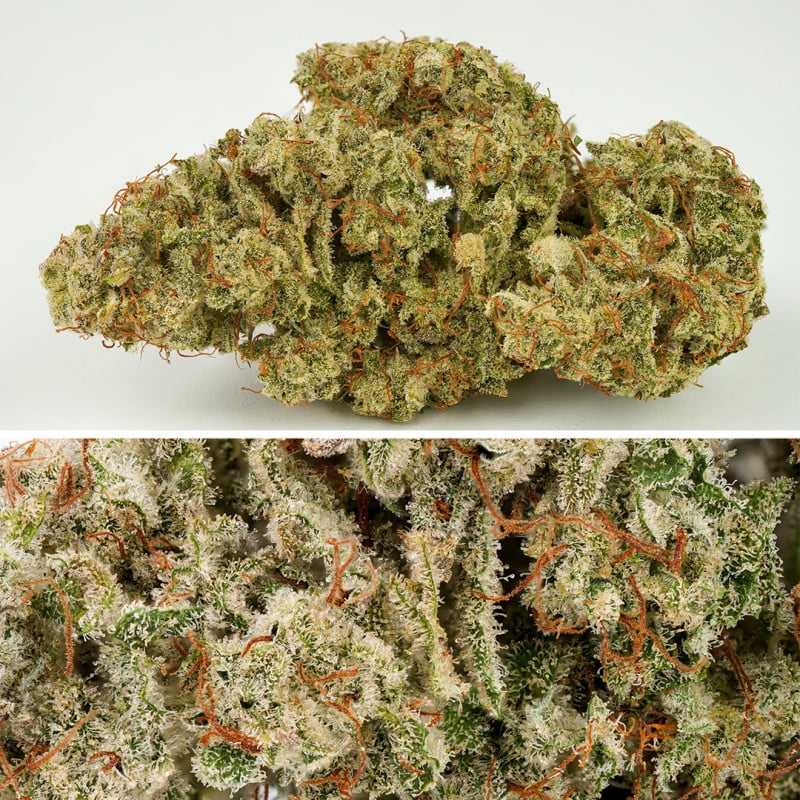 Auto SFV OG von Dutch Passion