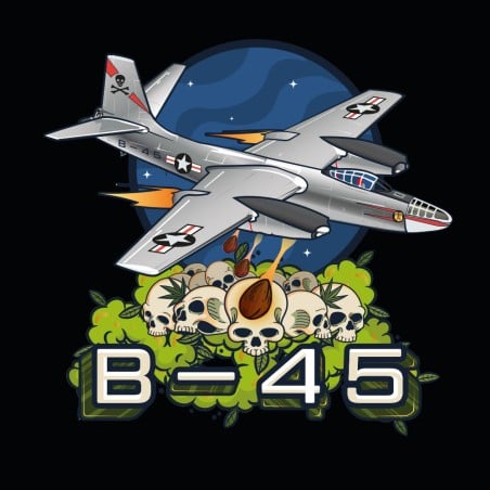 B-45 10er Silent Seeds
