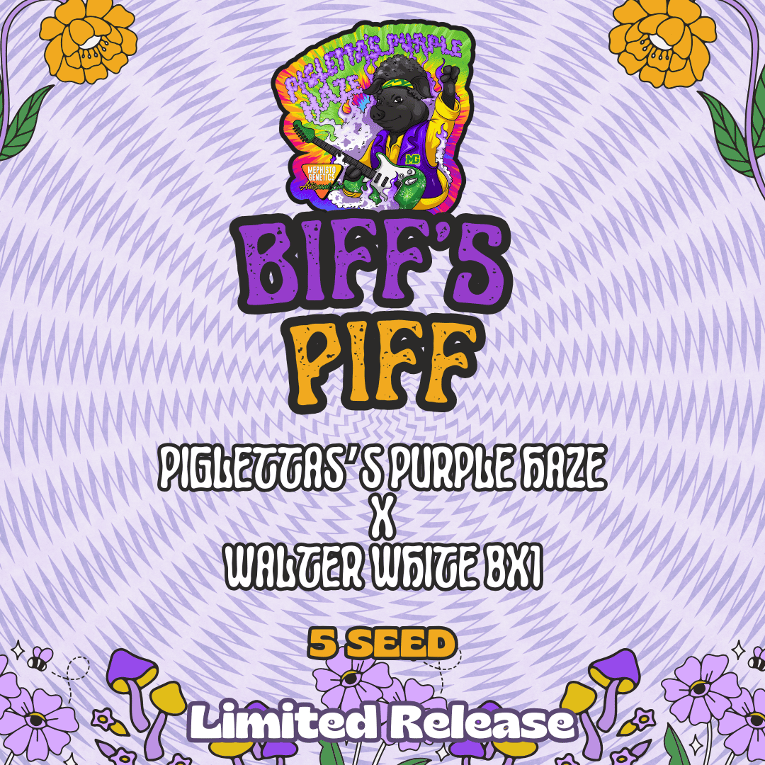 biff's piff 5er – mephisto genetics (autoflower samen)