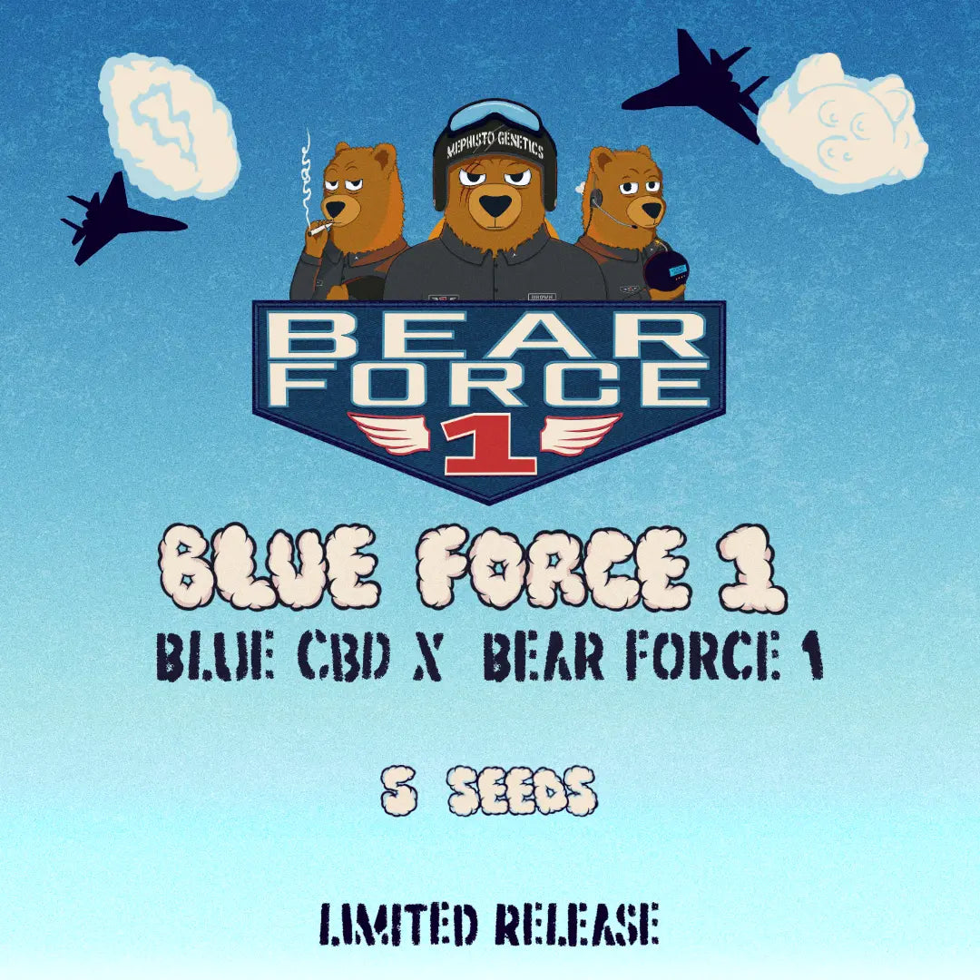 blue force 1 5+1er – mephisto genetics (autoflower samen)