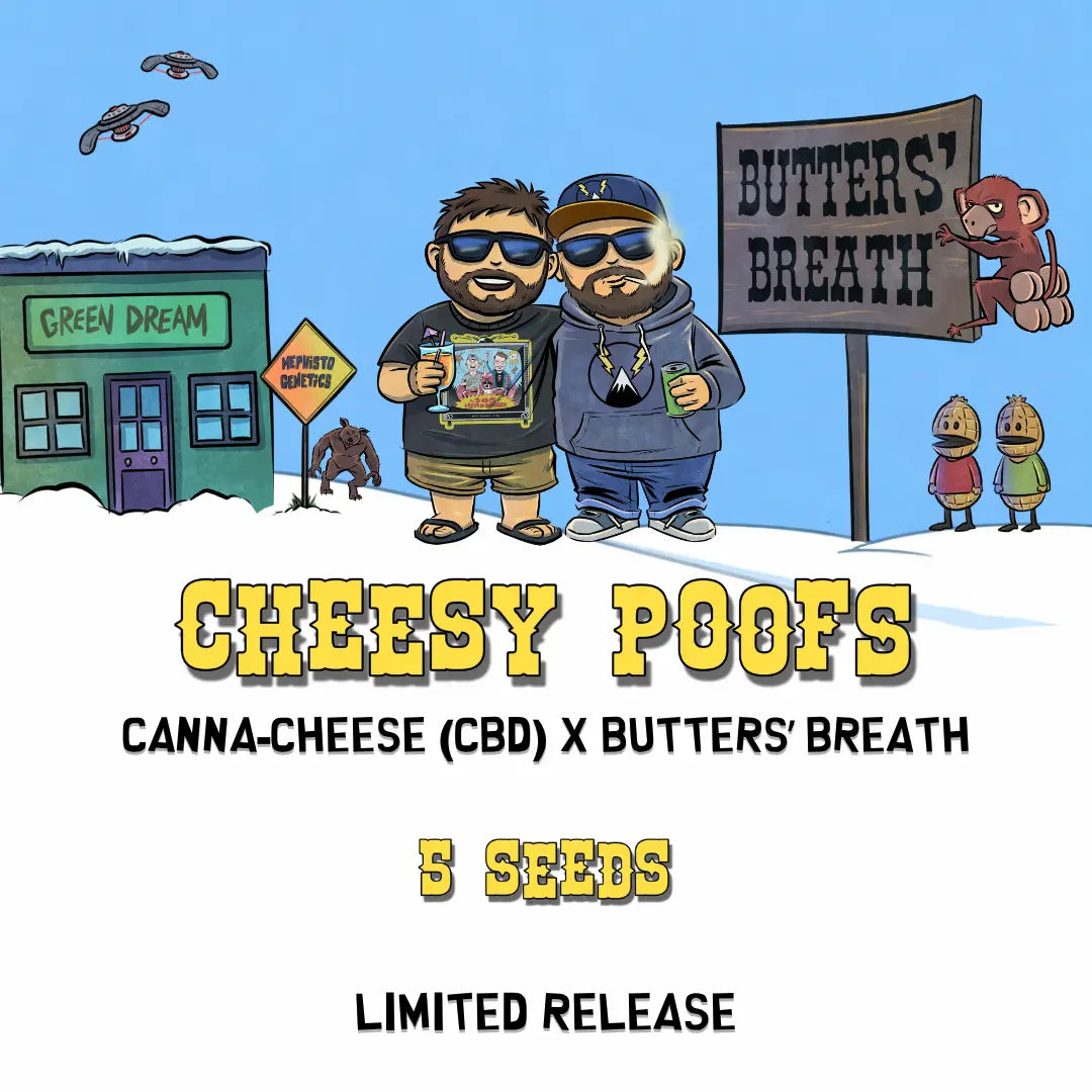 cheesy poofs 5+1er – mephisto genetics (autoflower samen)