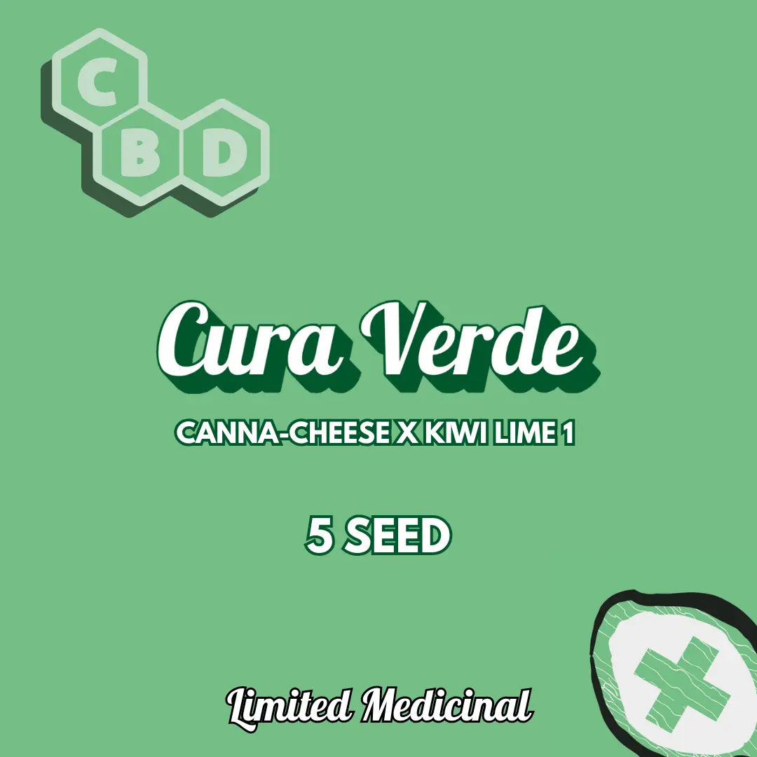 cura verde 5+1er – mephisto genetics (autoflower samen)