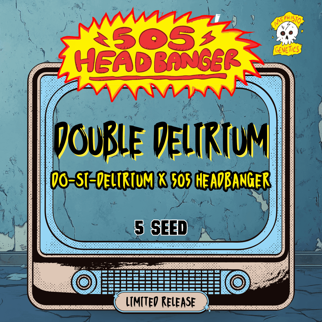 double delirium 5+1er – mephisto genetics (autoflower samen)