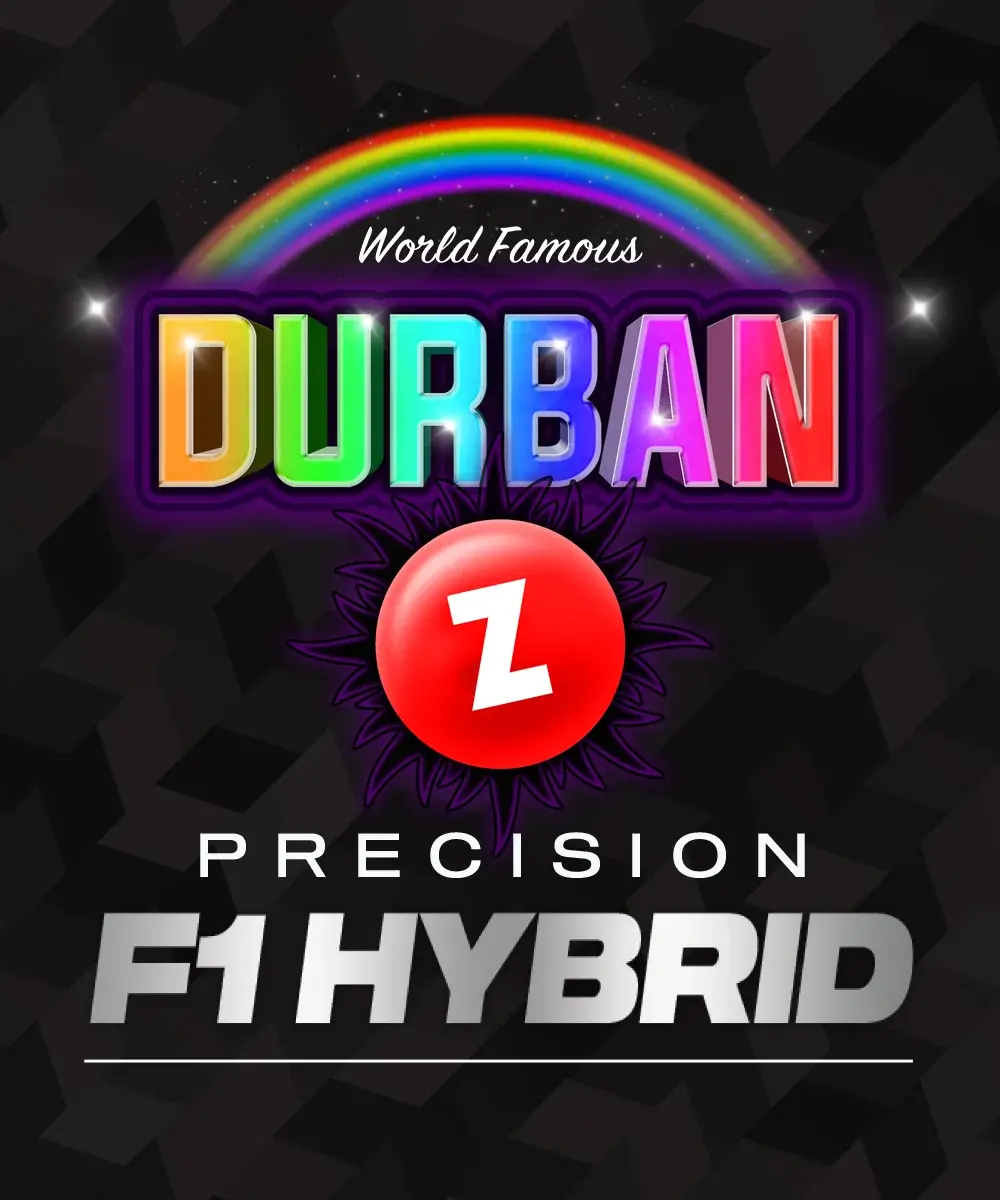 Durban Z Barney's Farm