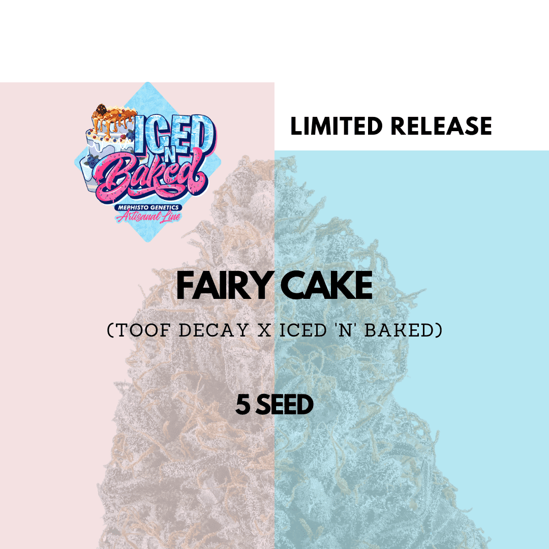 fairy cake 5er – mephisto genetics (autoflower samen)