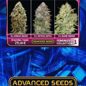 Feminized Collection #1 von Advanced Seeds