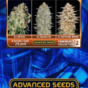 Feminized Collection #2 von Advanced Seeds