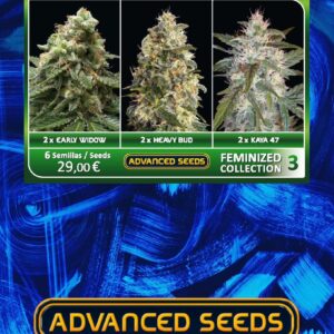Feminized Collection #3 von Advanced Seeds
